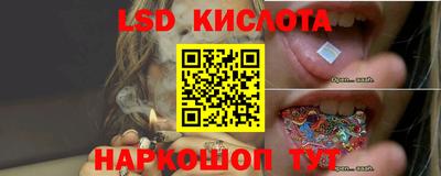 дмт Гатчина
