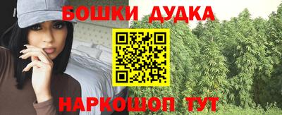 тгк Гай