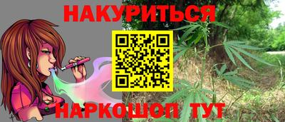 тгк Гай