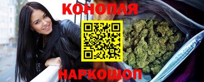 дмт Гатчина