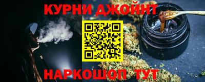 дмт Гатчина