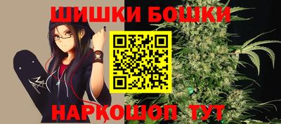 дмт Гатчина
