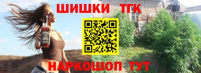 тгк Гай