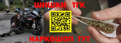 тгк Гай